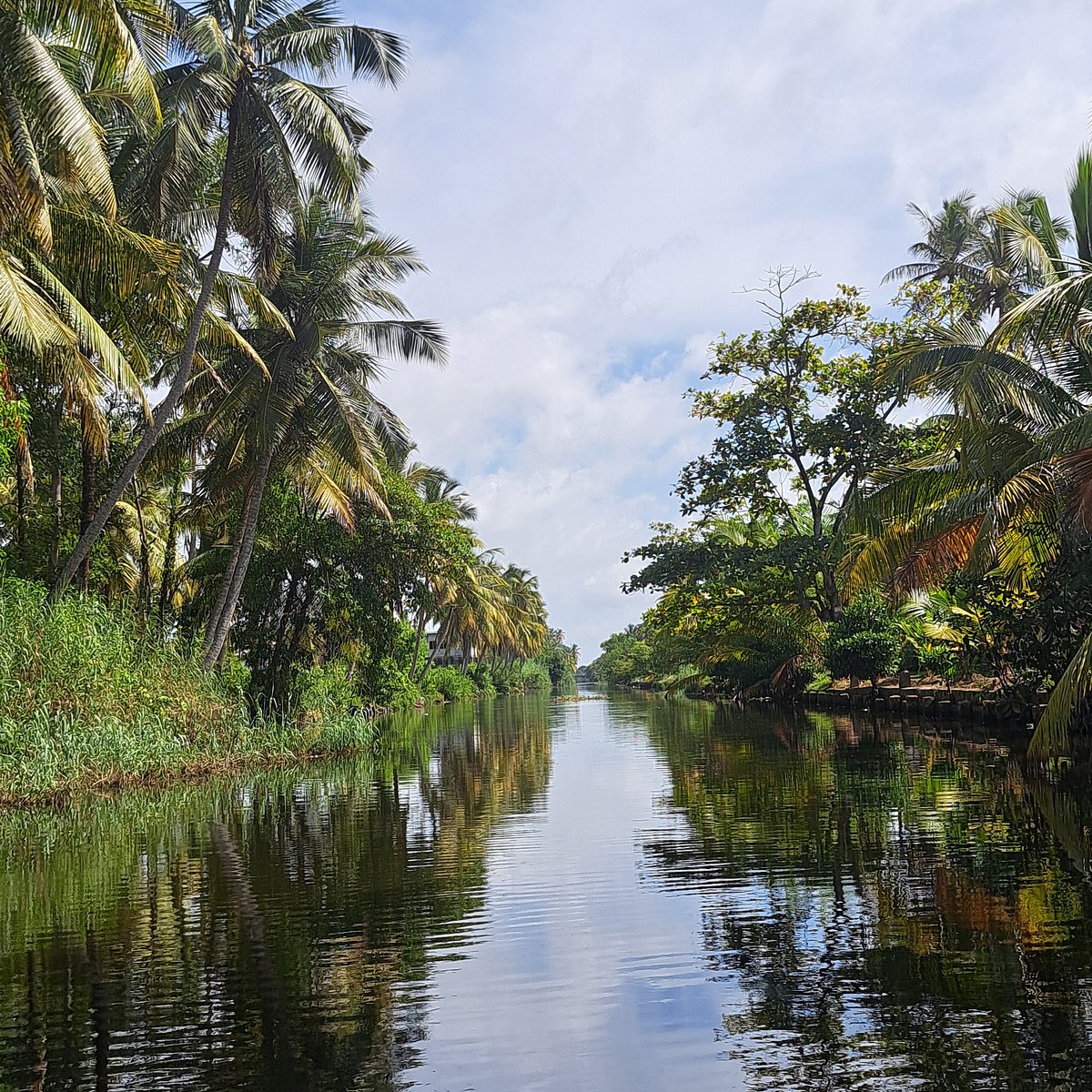 MUTHURAJAWELA WETLAND BOAT SAFARI